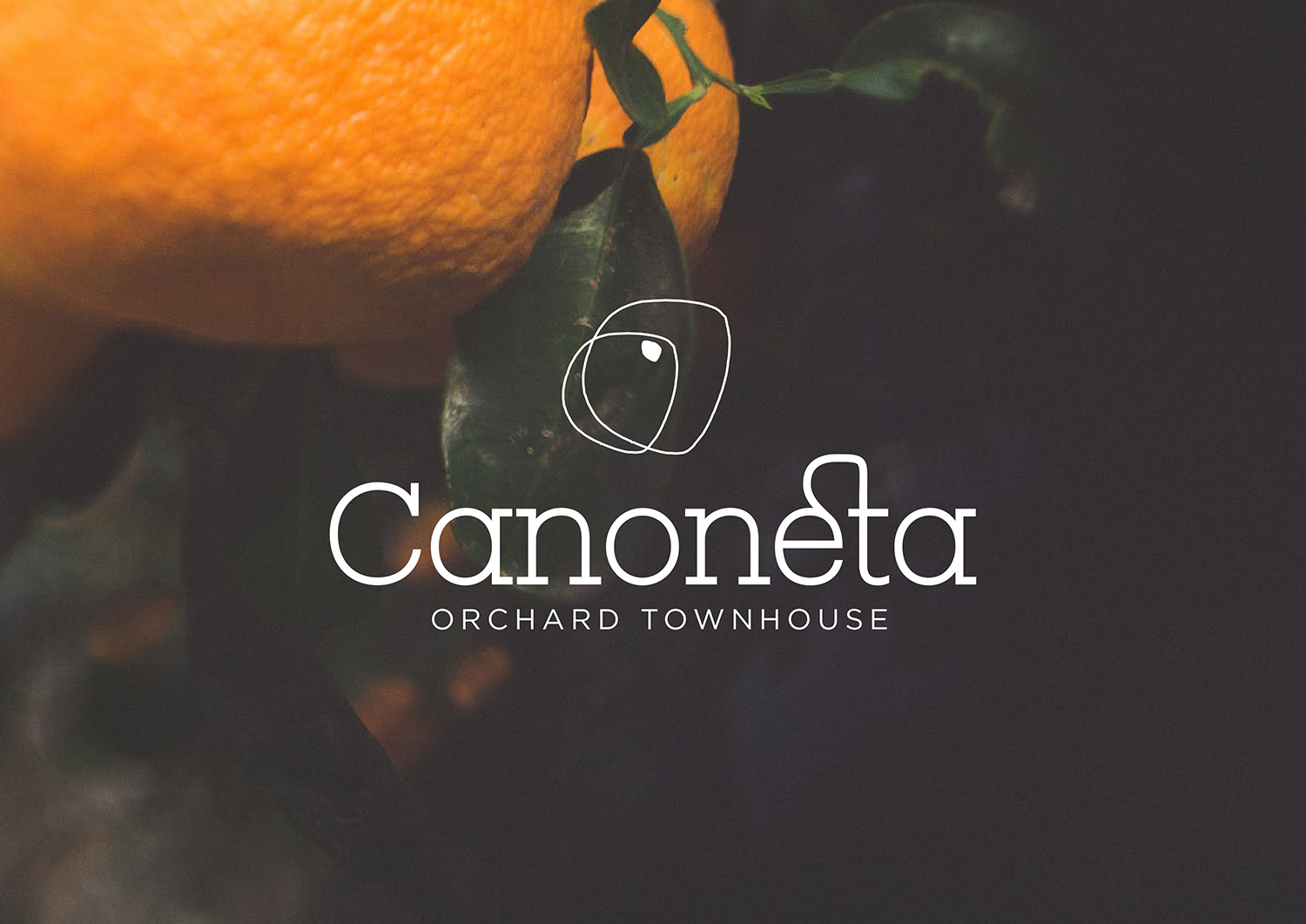 Render branding Canoneta